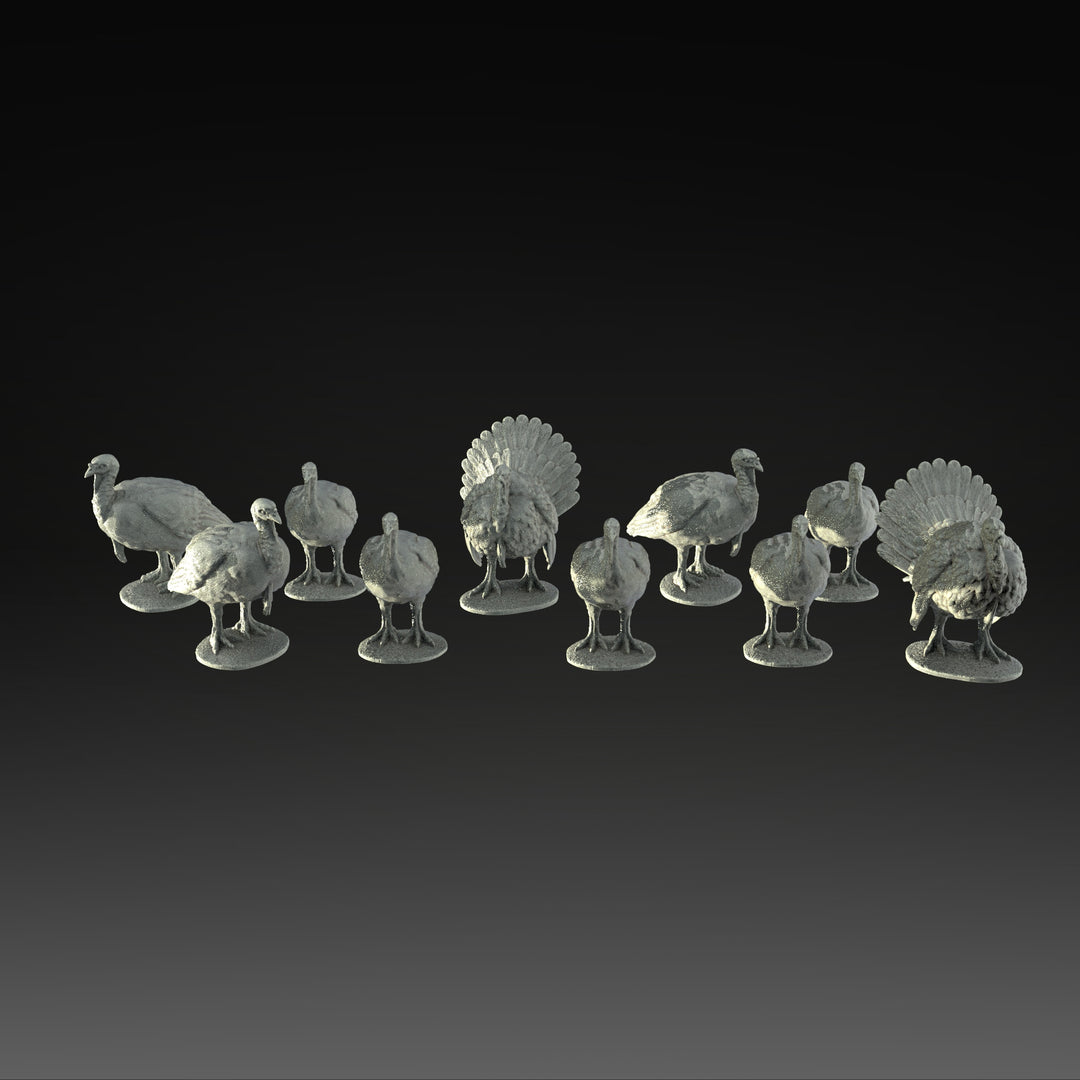 SWB006 Pack of Turkeys x 10