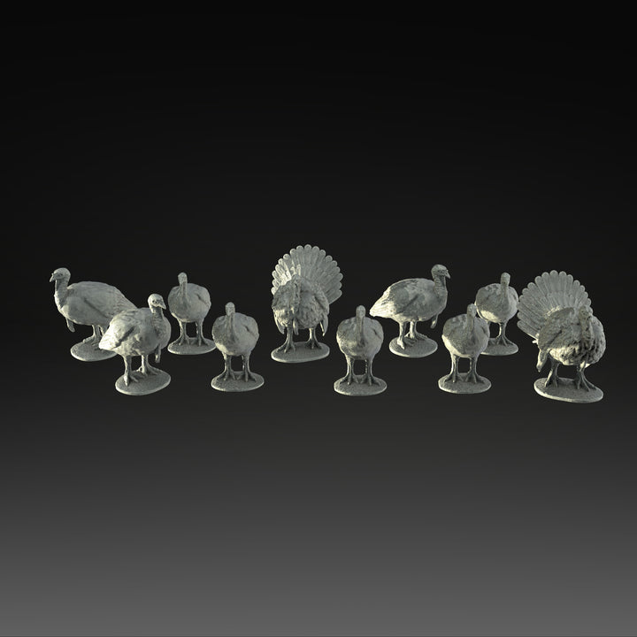 SWB006 Pack of Turkeys x 10