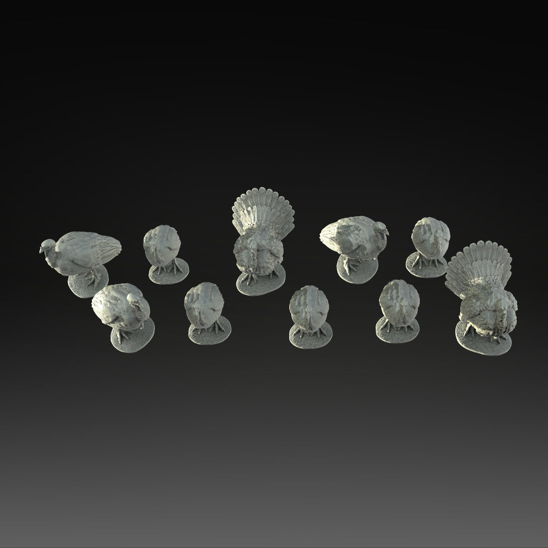 SWB006 Pack of Turkeys x 10