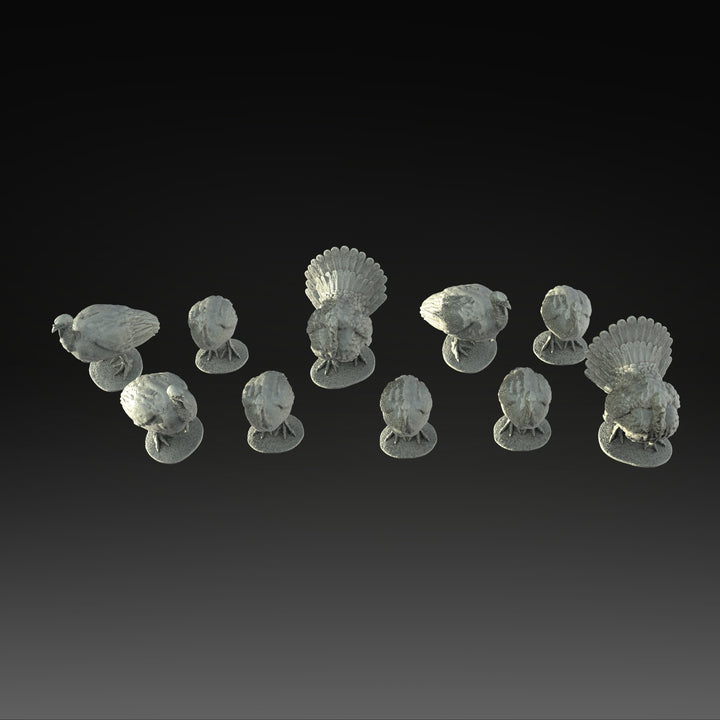 SWB006 Pack of Turkeys x 10