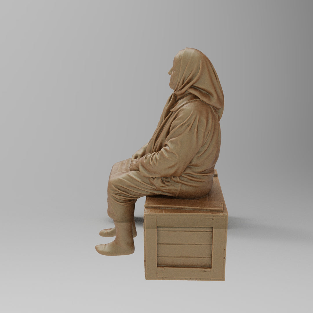 SW8176 Farm Pensioner resting on Box