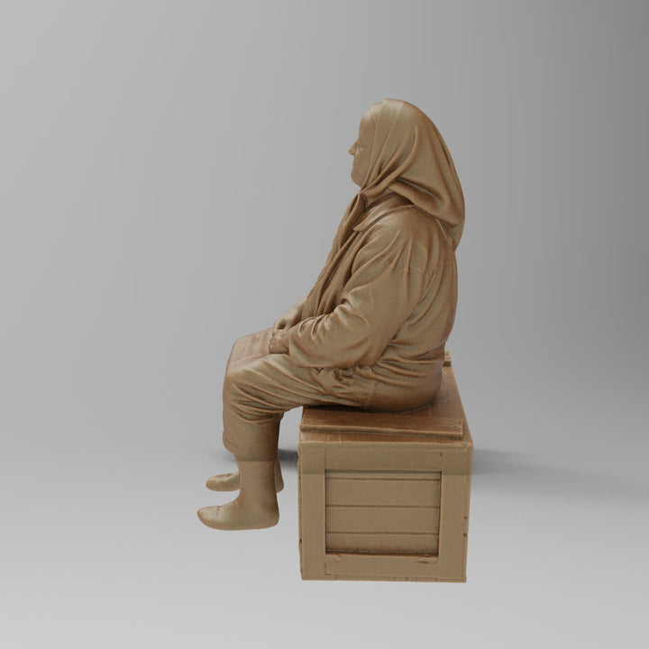 SW8176 Farm Pensioner resting on Box