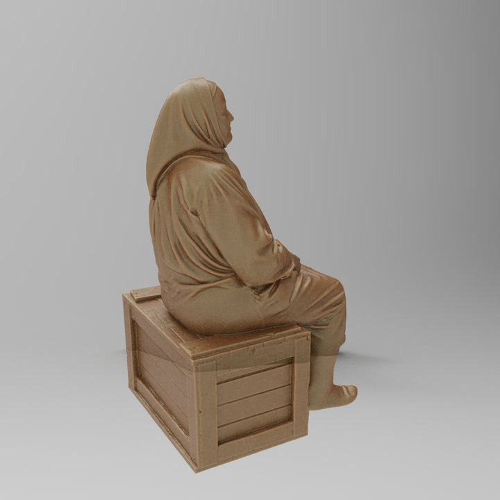 SW8176 Farm Pensioner resting on Box