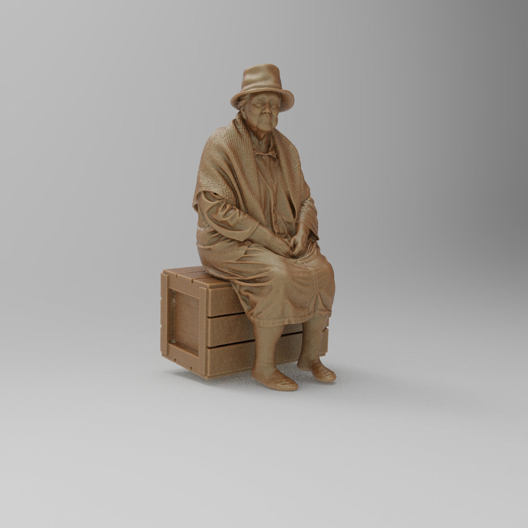 SW8177 Pensioner resting on Box
