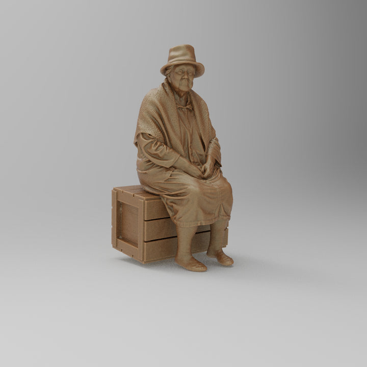 SW8177 Pensioner resting on Box