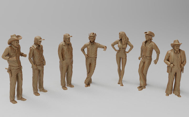 SW9024 Dukes of Hazard Gang