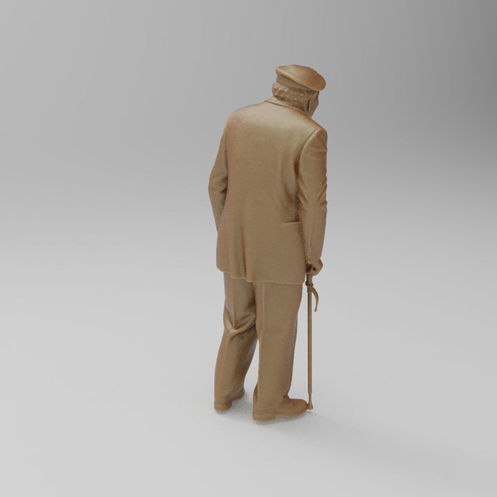 SW9043 Old Veteran