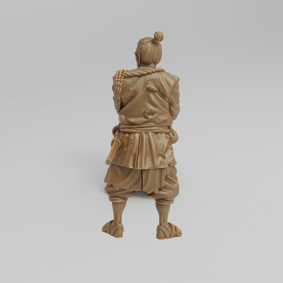 Feudal Japan - Caravan Guard
