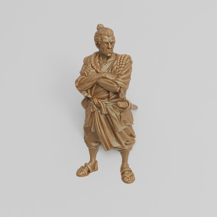 Feudal Japan - Caravan Guard