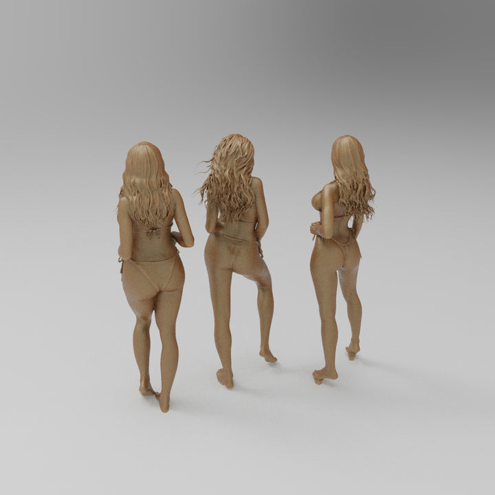 SW3050 3 Bikini Girls