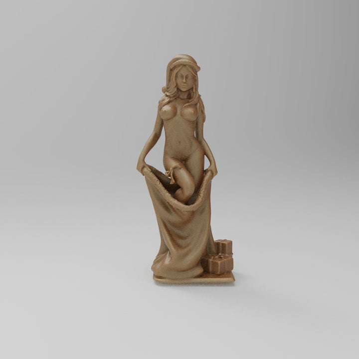 SW9183 Girl Christmas Present