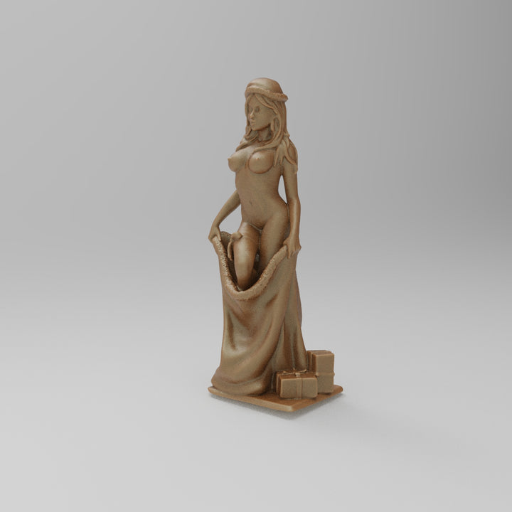 SW9183 Girl Christmas Present