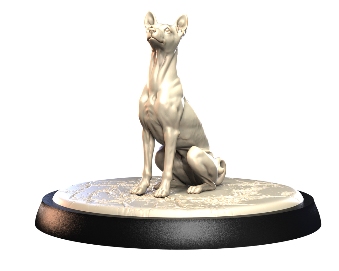 Dogs2 - Bajensi 1