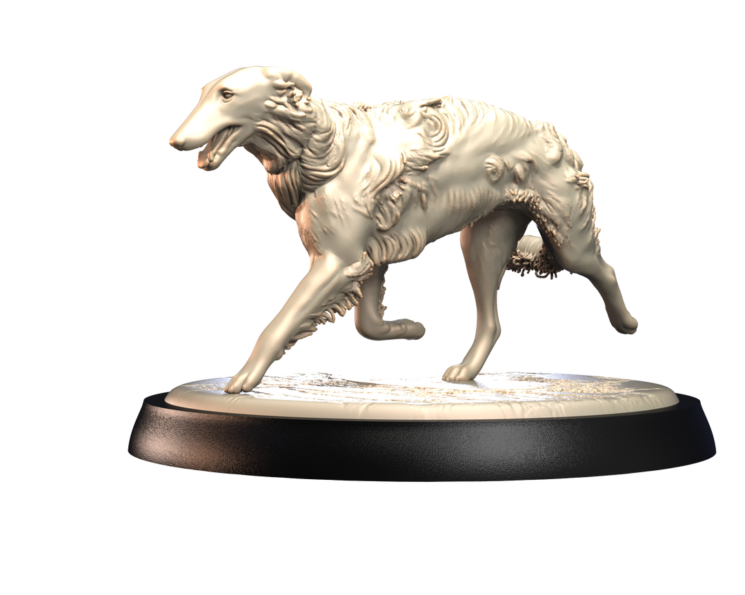 Dogs2 - Borzoi 2
