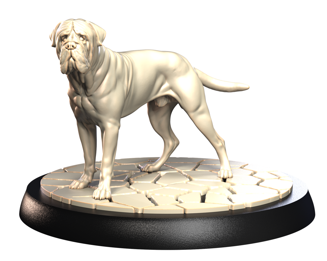 Dogs2 - Bullmastiff 1
