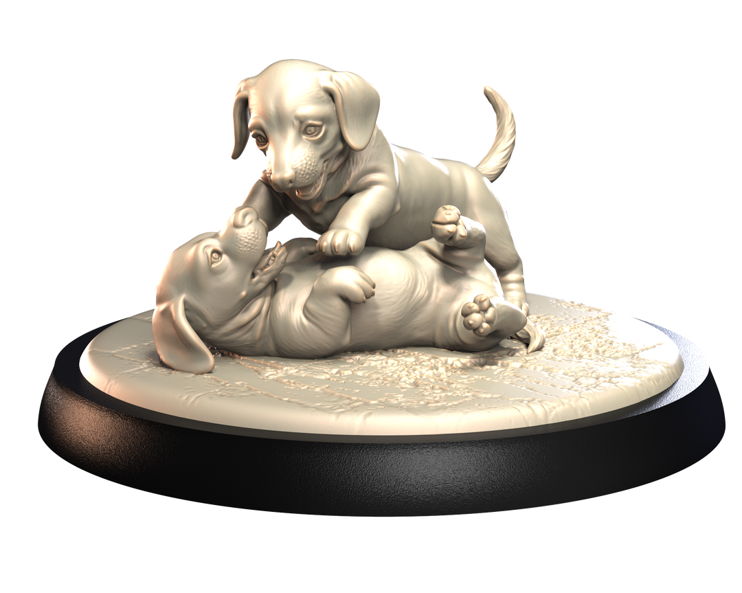 Dogs2 - Dachshund Puppies