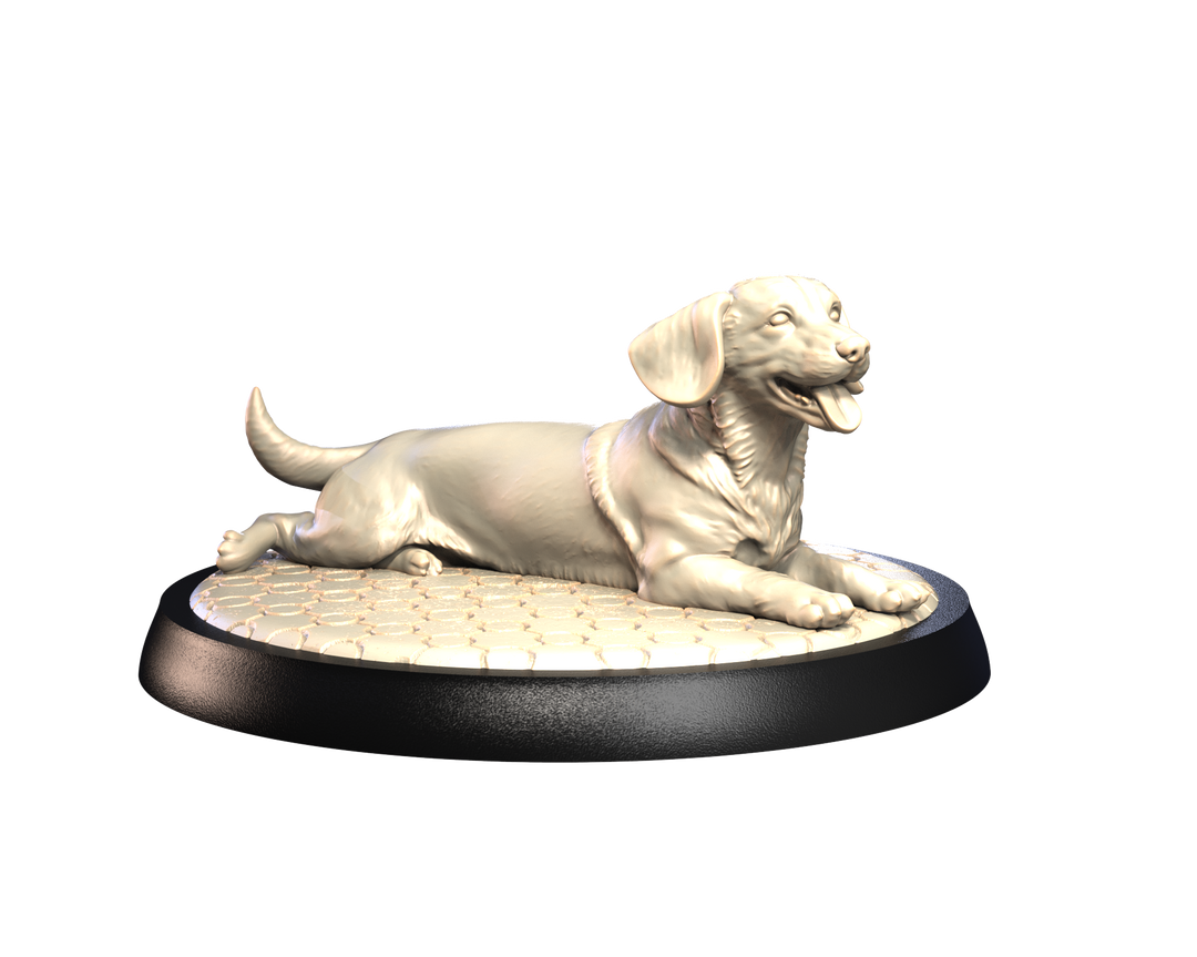 Dogs2 - Dachshund 2