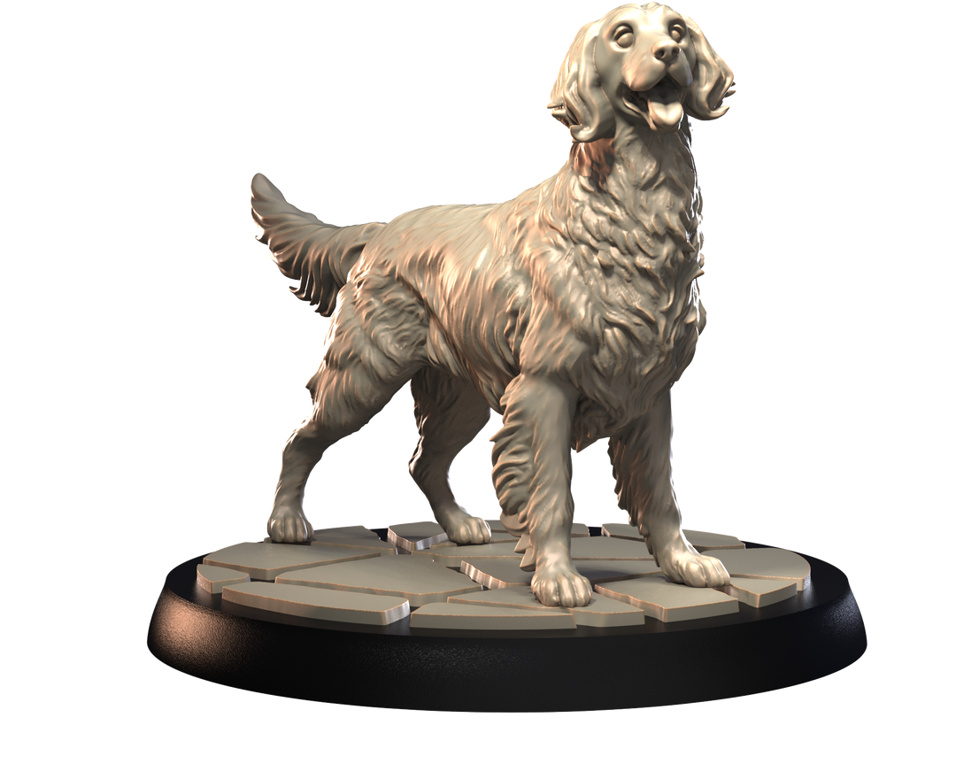 Dogs2 - English Setter 1