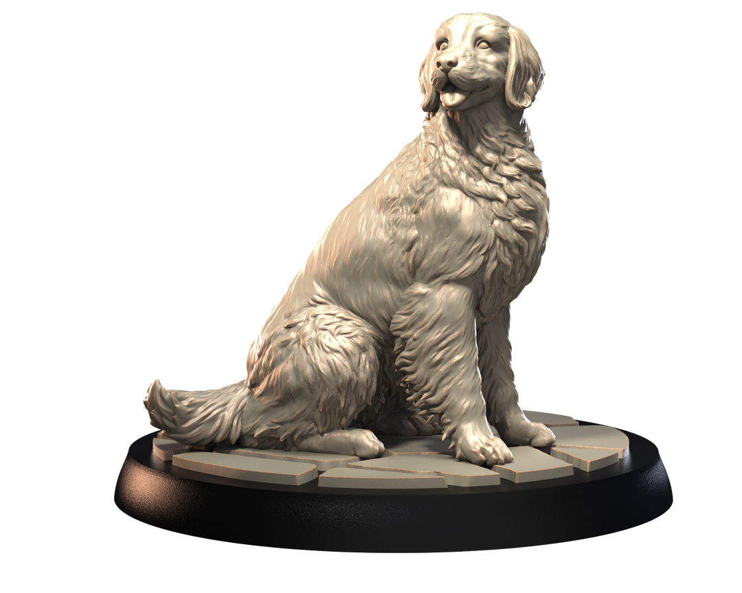 Dogs2 - English Setter 2