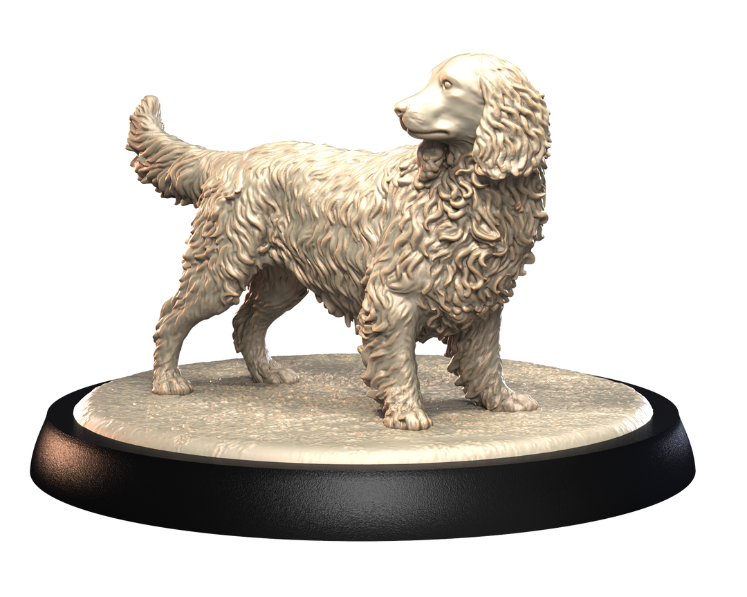 Dogs2 - English Springer 2