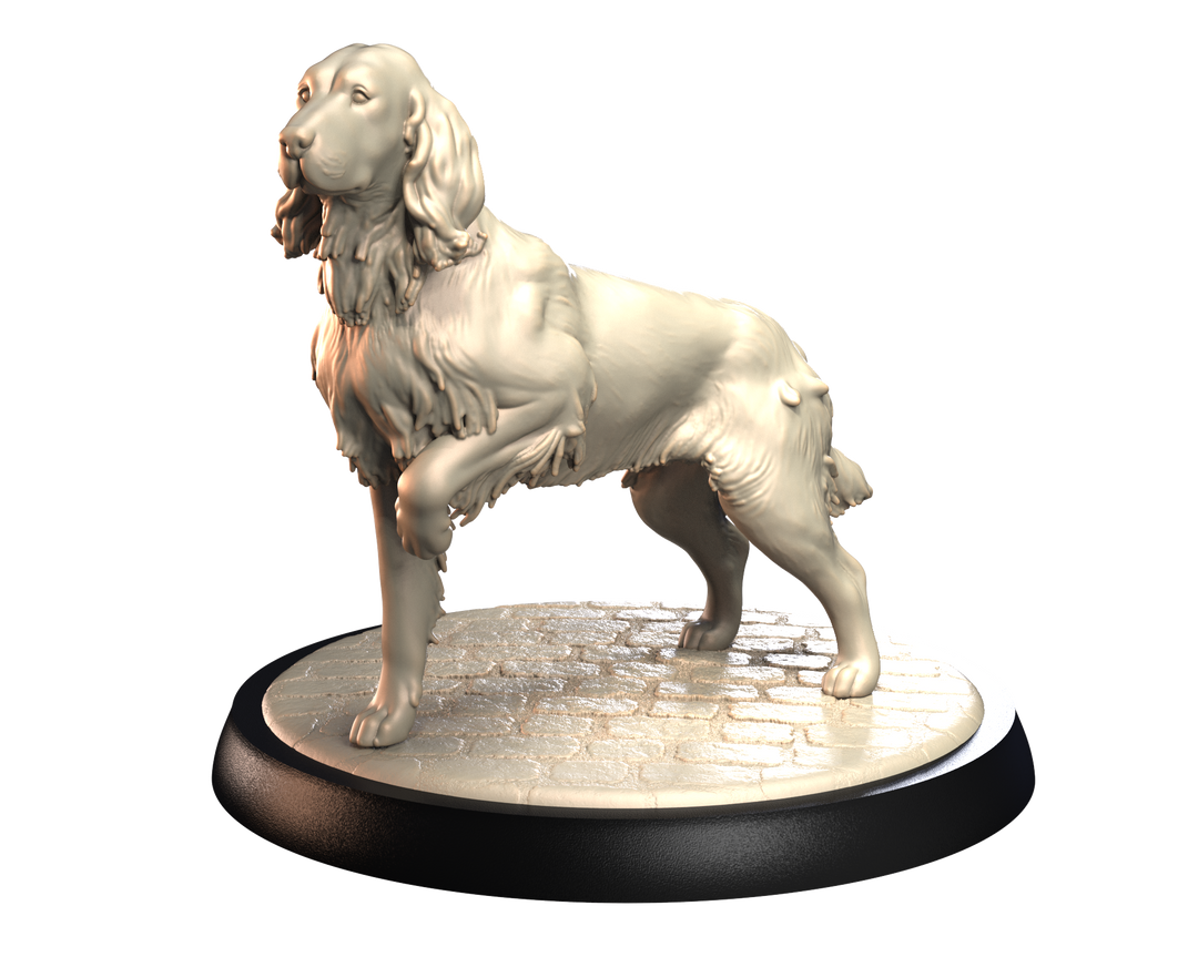 Dogs2 - German Longhaired Pointer 1
