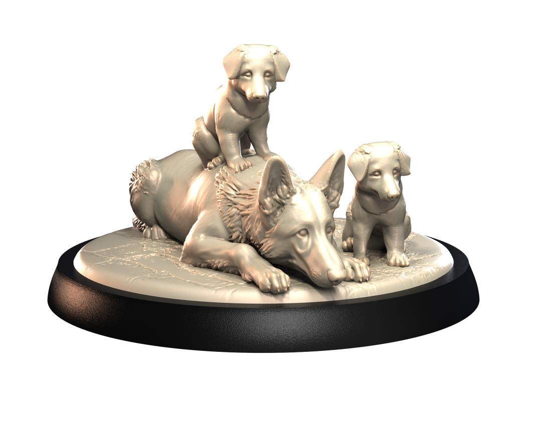 Dogs2 - German Sheperd Mum Puppies