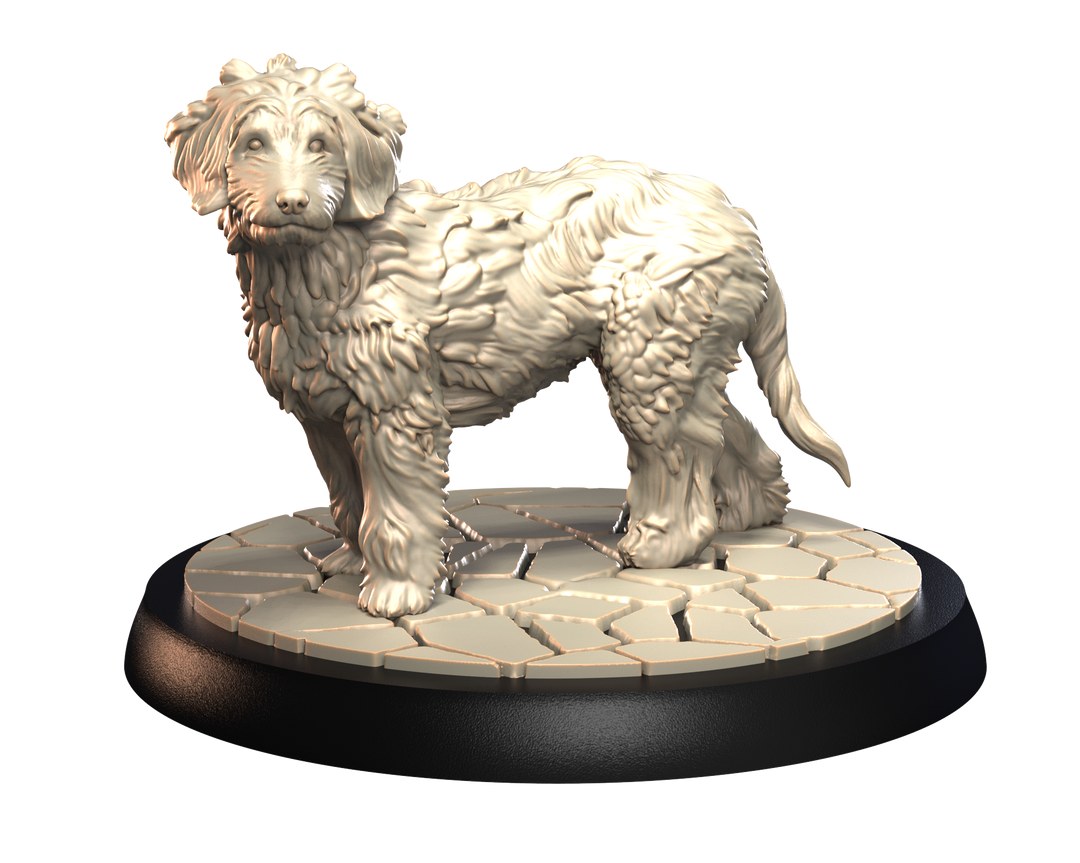 Dogs2 - Golden Doodle 1