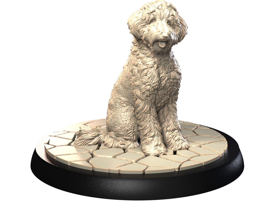 Dogs2 - Golden Doodle 2