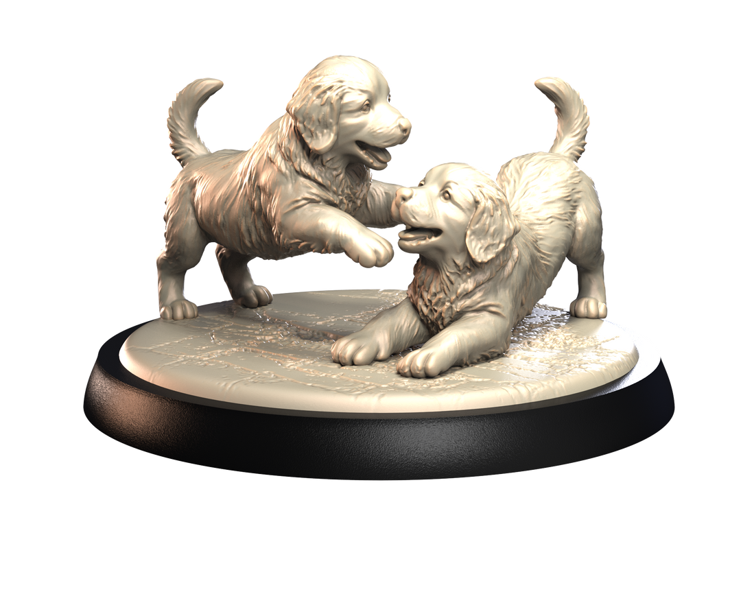 Dogs2 - Golden Retriever Puppies