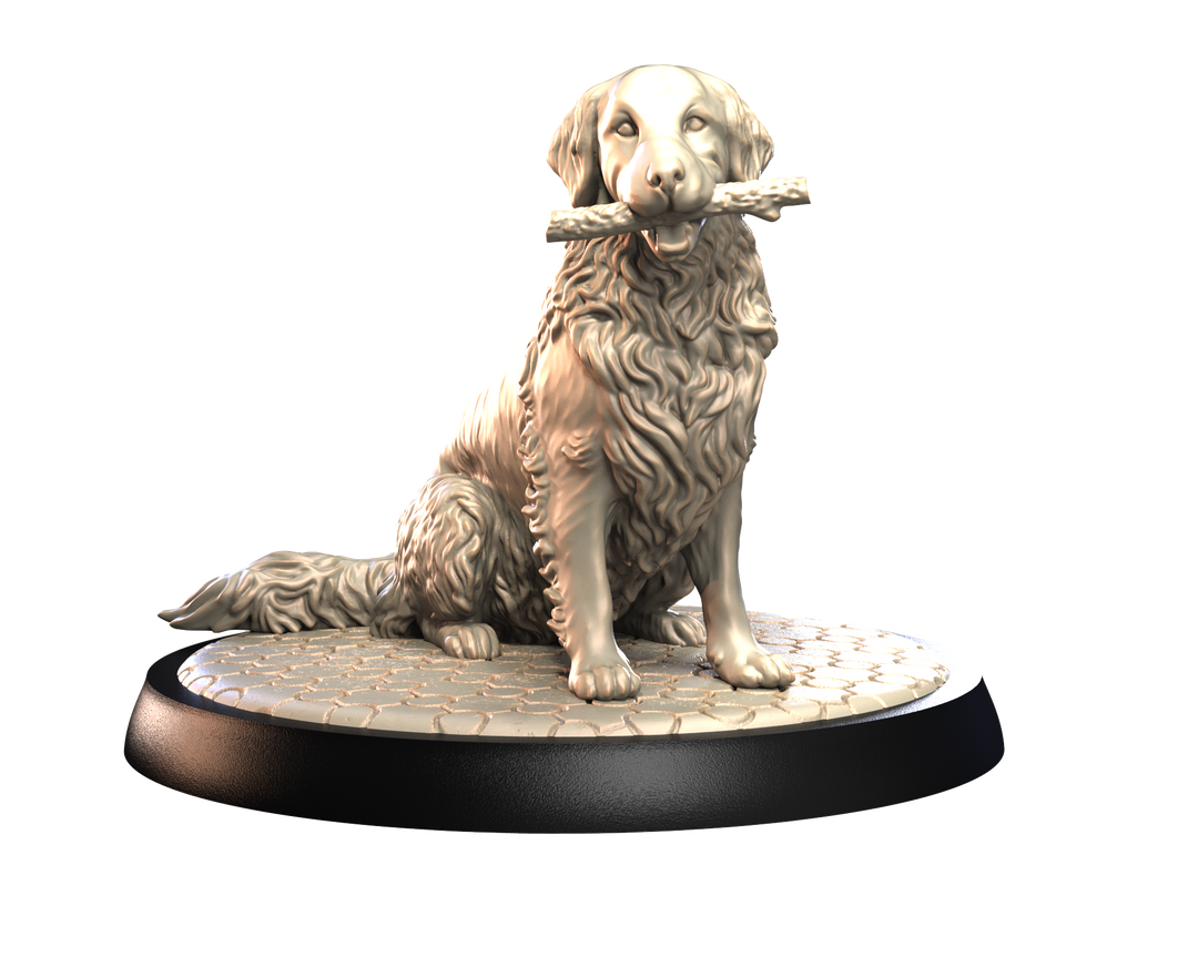 Dogs2 - Golden Retriever 2