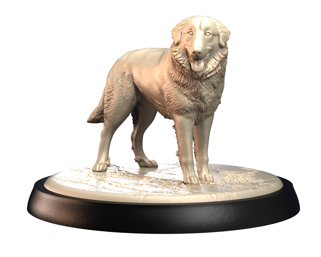 Dogs2 - Great Pyrenees 1