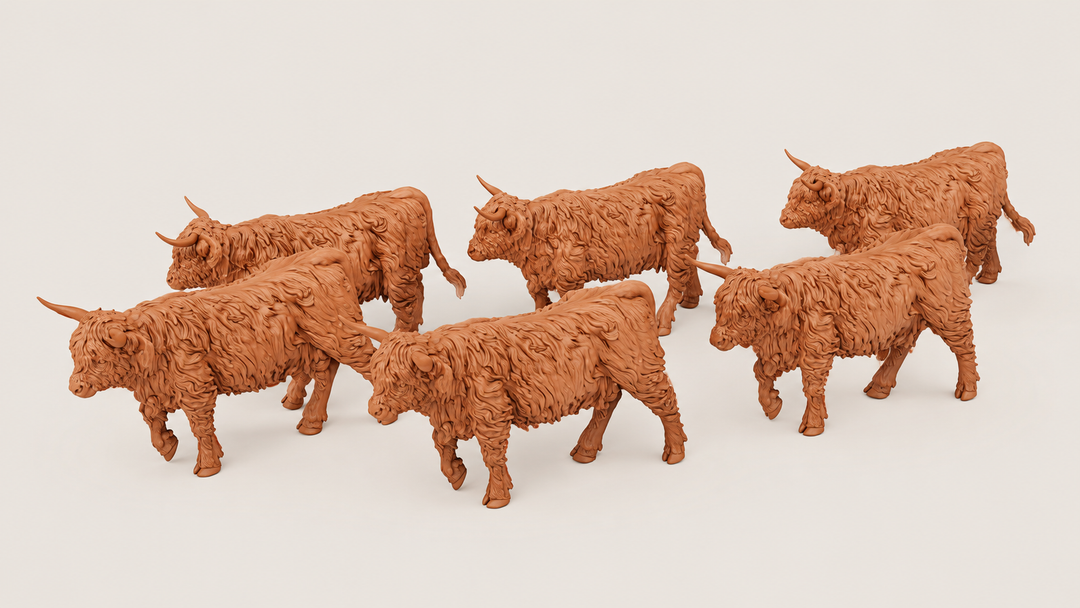SWF002 Highland Cows Walking x 6