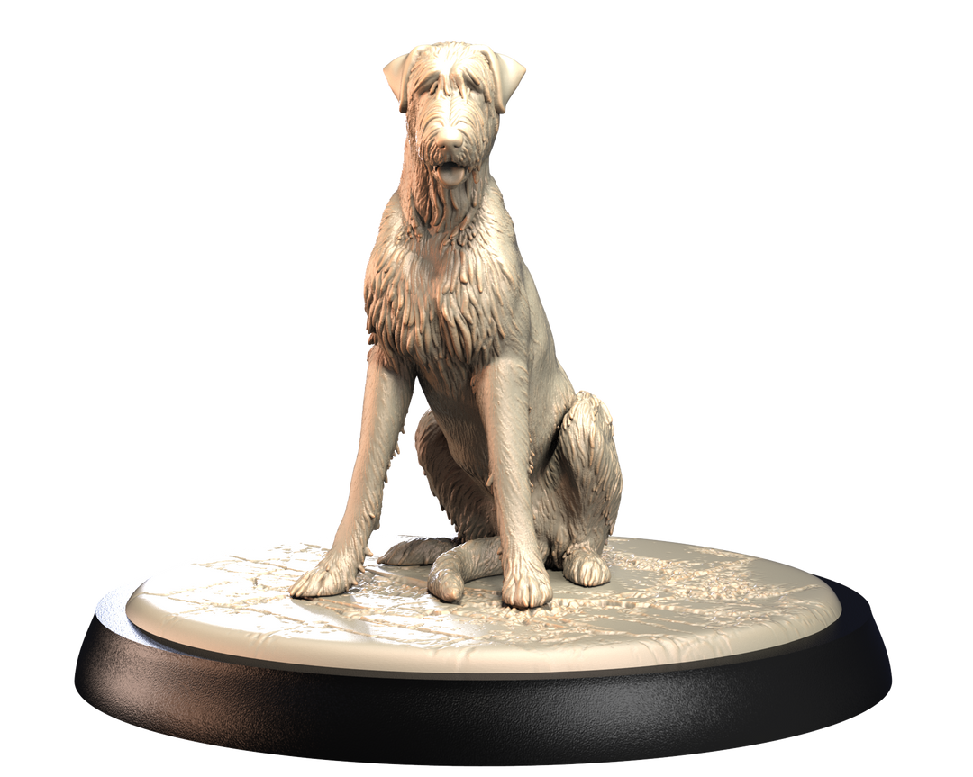 Dogs2 - Irish Wolfhound 1