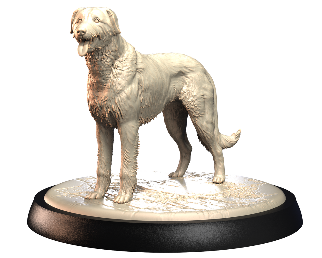 Dogs2 - Irish Wolfhound 2