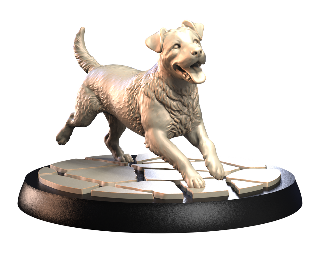 Dogs2 - Jack Russell Terrier 2