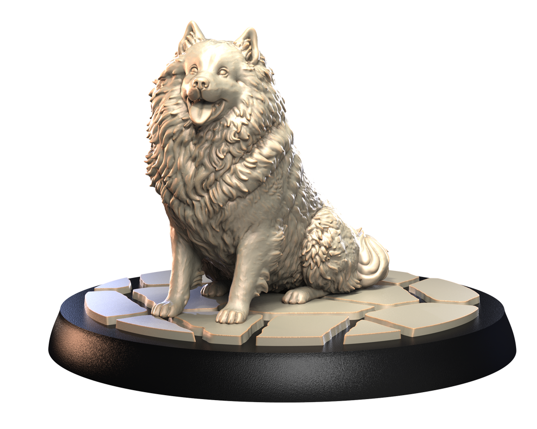 Dogs2 - Keeshond 1