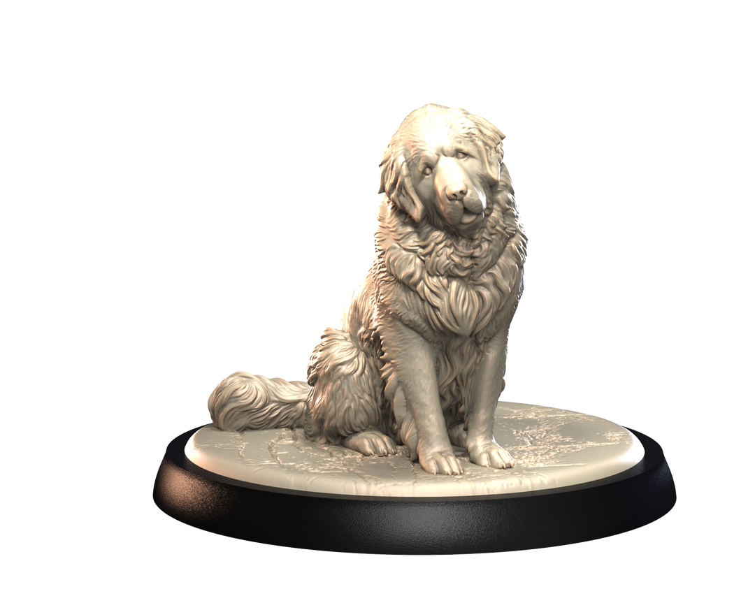 Dogs2 - Leonberger 2