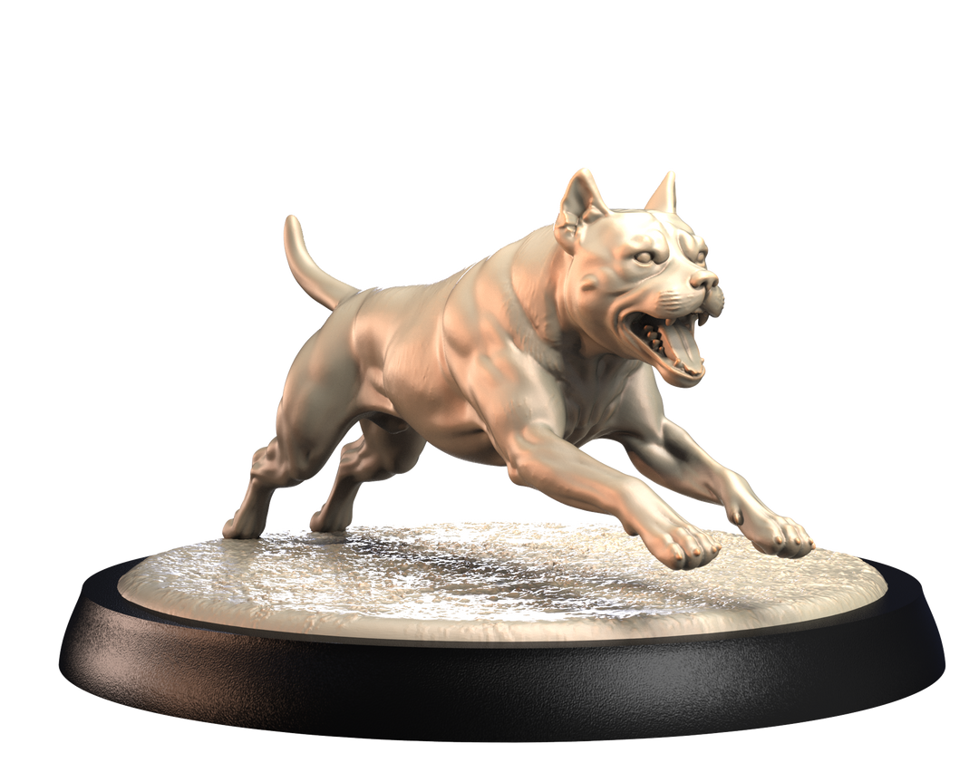 Dogs2 - Pit Bull 2
