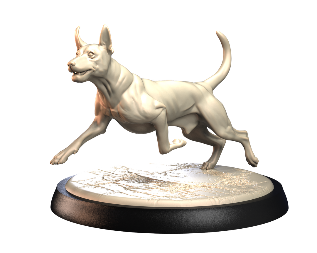 Dogs2 - Podenco Ibicenco 1