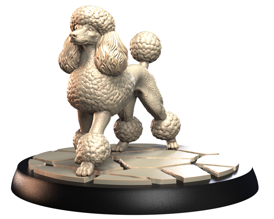 Dogs2 - Poodle 2