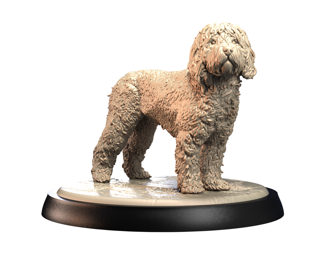 Dogs2 - Portuguese Waterdog 2