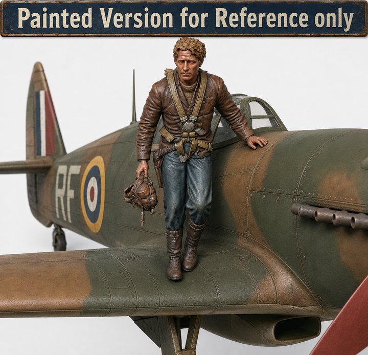 SW9555 WW2 RAF Pilot Getting off Plane