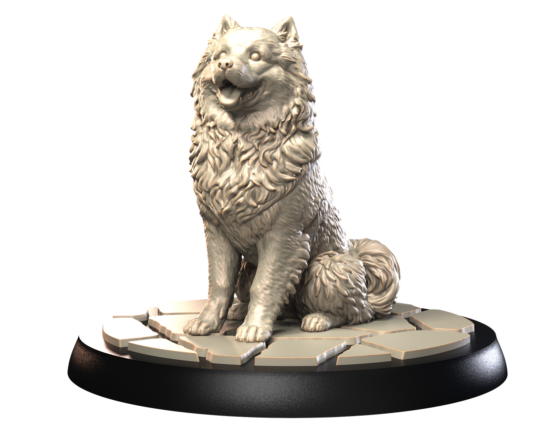 Dogs2 - Samoyed 2