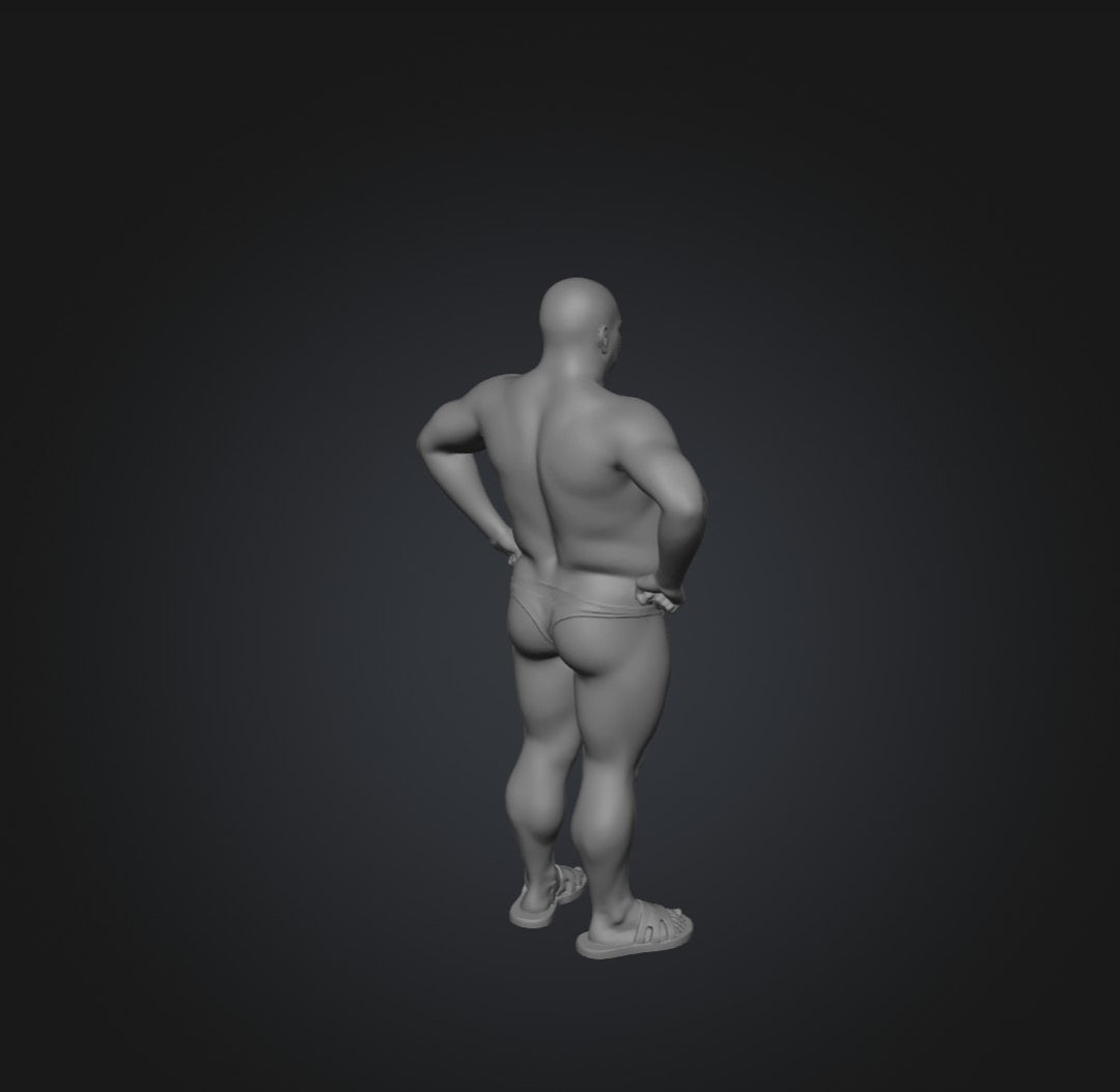 SW9219 Male Budgie Smuggler