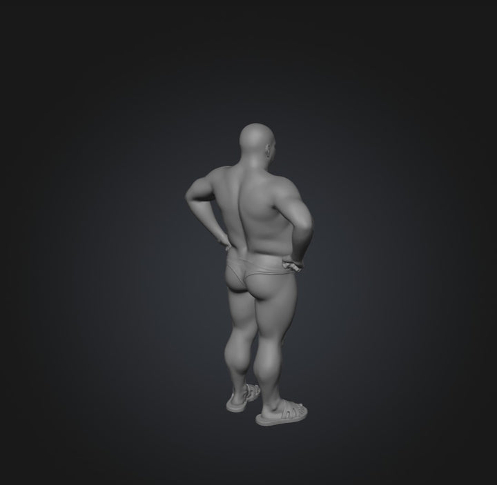 SW9219 Male Budgie Smuggler