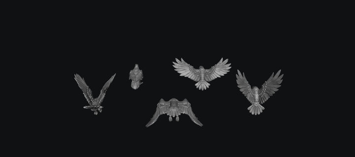 SWB005 Pack of Crows x 5