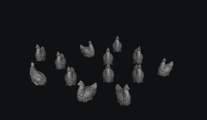 SWB001 Pack of Chickens x 13