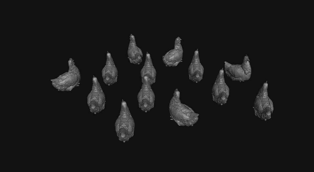 SWB001 Pack of Chickens x 13