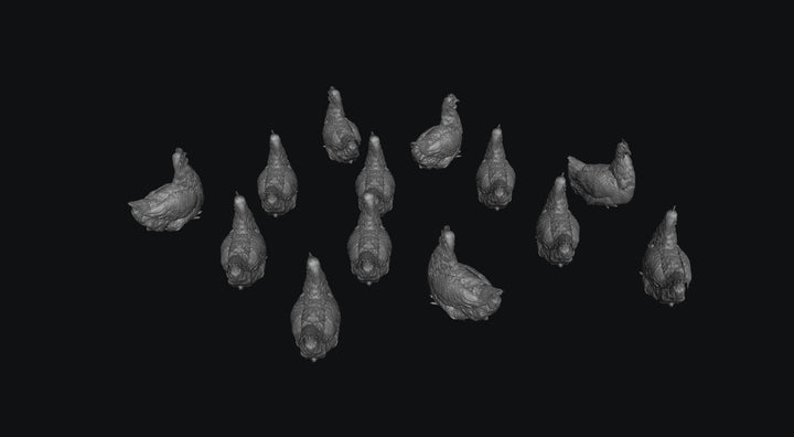 SWB001 Pack of Chickens x 13