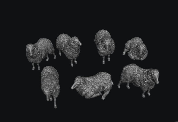 SWA001 Sheep x 7